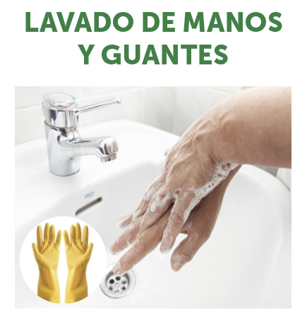 LAVADO DE MANOS Y GUANTES